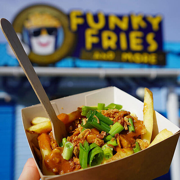 Funky Fries Chicken Katsu Fries